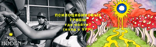 герыч Алексеевка