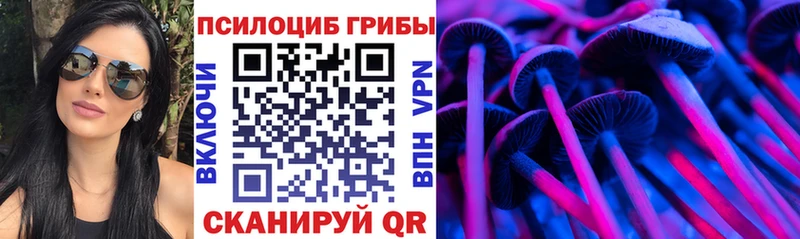где купить наркотик  Беслан  Псилоцибиновые грибы мухоморы 